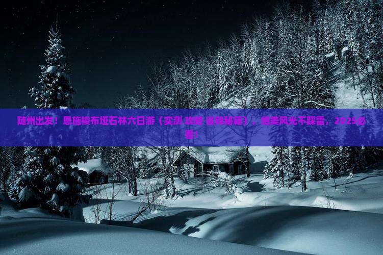 随州到恩施梭布垭石林六日游
