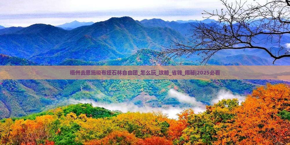 梧州去恩施梭布垭石林自由团