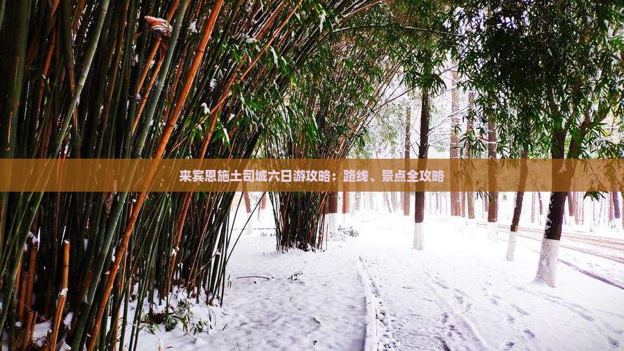 来宾到恩施土司城六日游