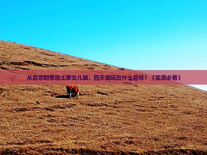 昌吉去恩施土家女儿城四日游 昌吉去恩施土家女儿城四日游