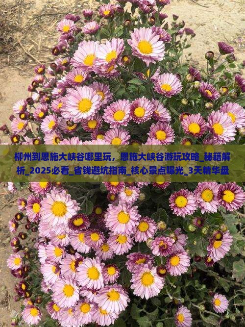 柳州到恩施大峡谷哪里玩
