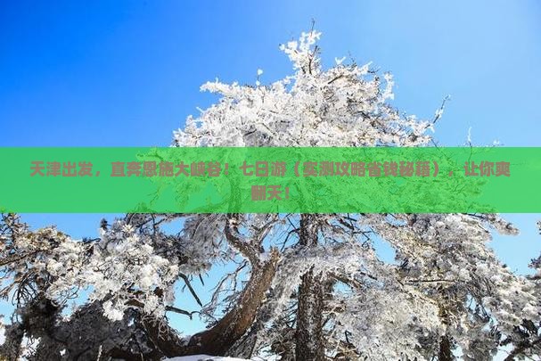 天津去恩施大峡谷七日游