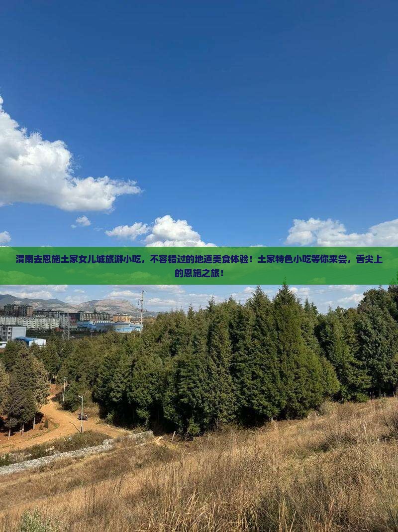 渭南去恩施土家女儿城旅游小吃