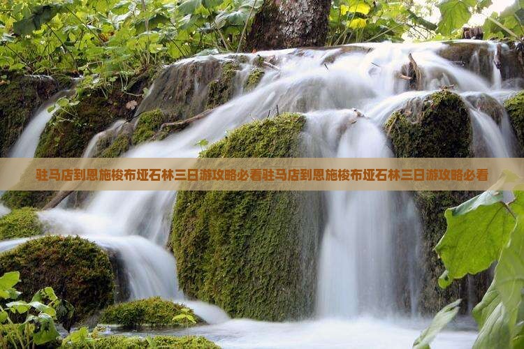 驻马店到恩施梭布垭石林三日游