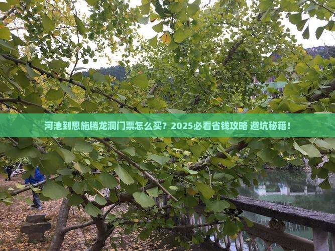 河池到恩施腾龙洞门票
