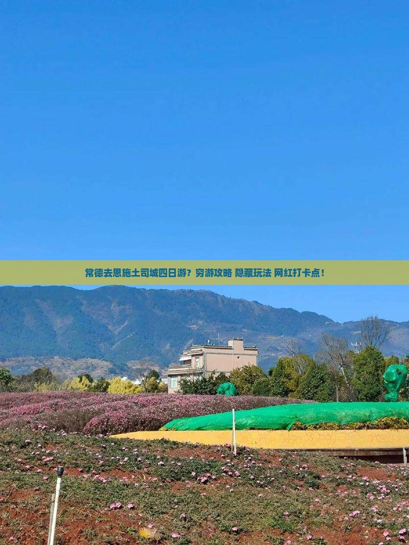 常德去恩施土司城四日游