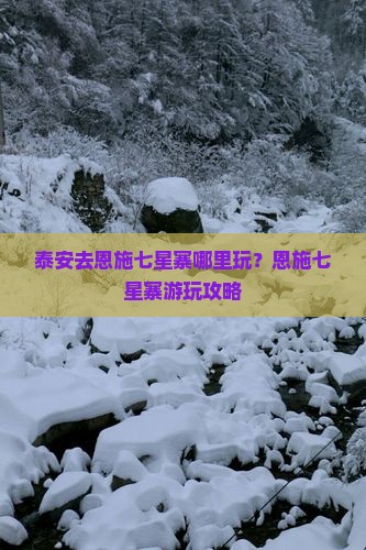 泰安去恩施七星寨哪里玩