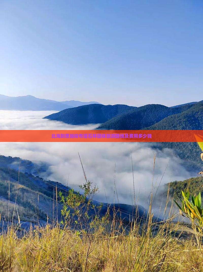 北海到恩施梭布垭石林团体旅游