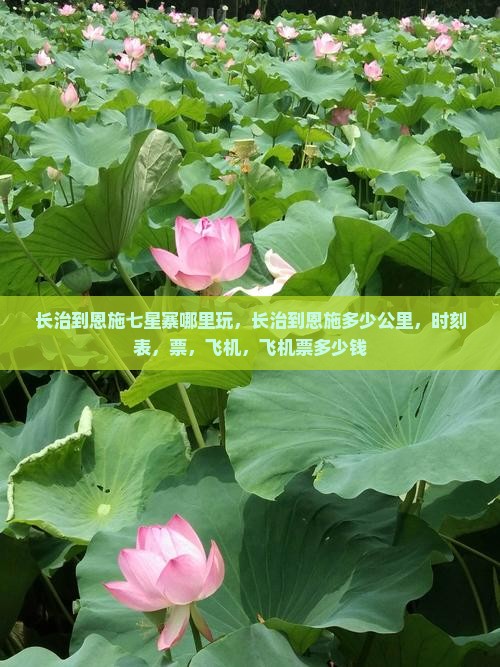长治到恩施七星寨哪里玩