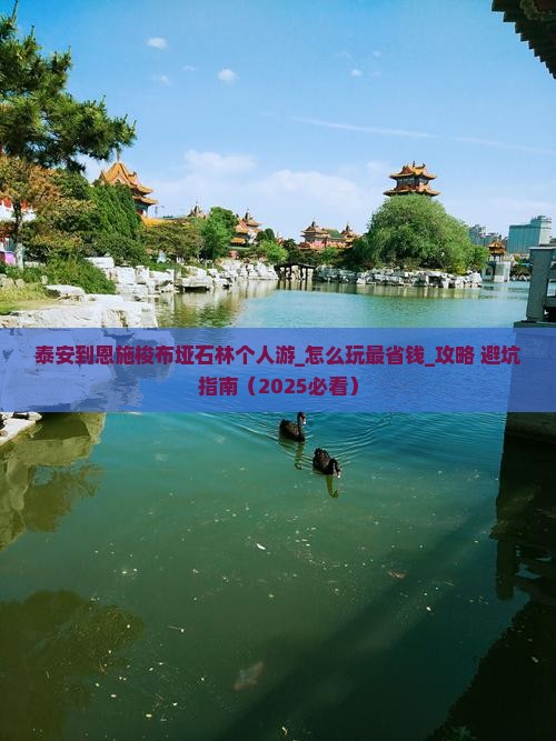 泰安到恩施梭布垭石林个人游