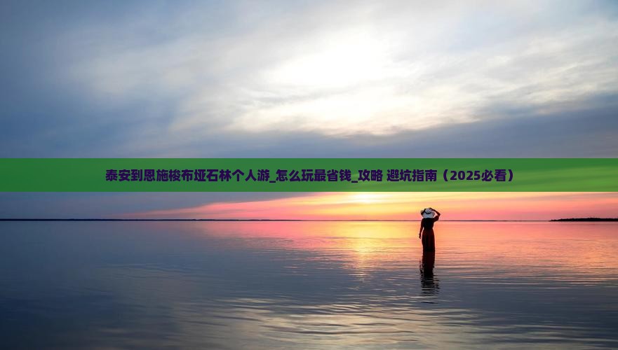 泰安到恩施梭布垭石林个人游