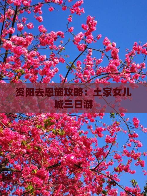 资阳去恩施土家女儿城三日游