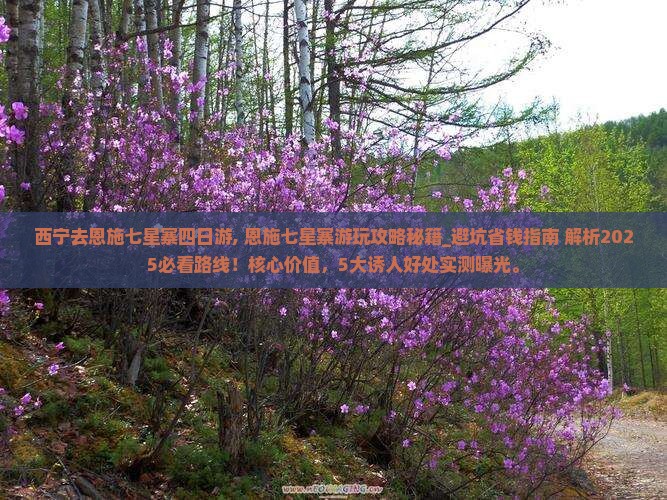 西宁去恩施七星寨四日游