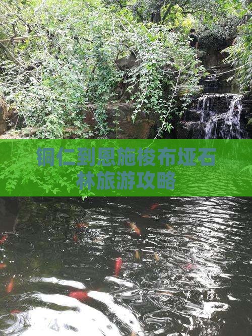 铜仁到恩施梭布垭石林大型旅游团