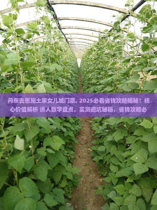丹东去恩施土家女儿城门票