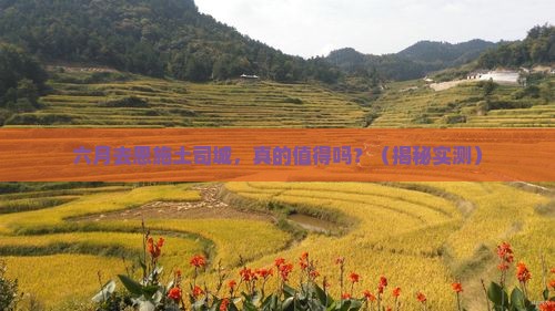 六月到恩施土司城旅游