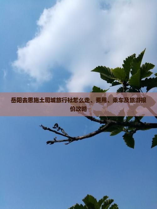 岳阳去恩施土司城旅行社