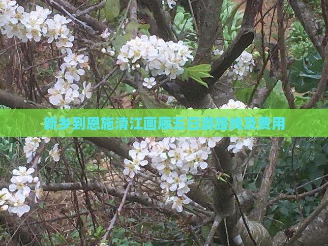新乡到恩施清江画廊五日游