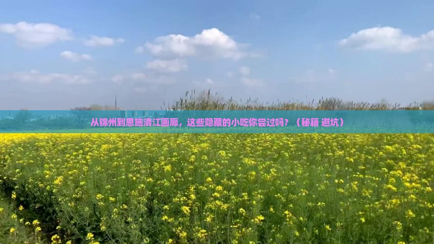 锦州到恩施清江画廊旅游小吃