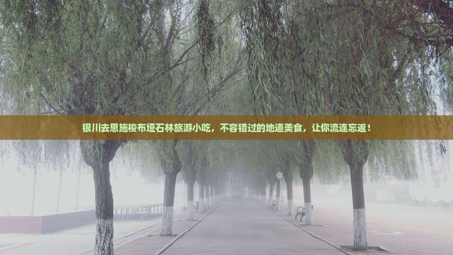 银川去恩施梭布垭石林旅游小吃