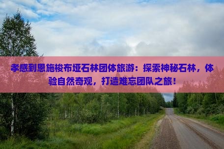 孝感到恩施梭布垭石林团体旅游