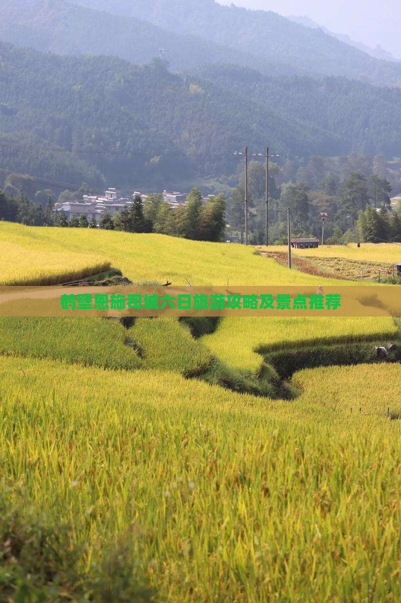 鹤壁去恩施土司城六日游