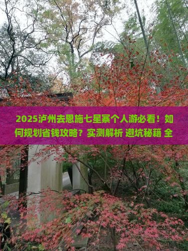 泸州去恩施七星寨个人游