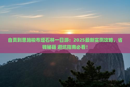 自贡到恩施梭布垭石林一日
