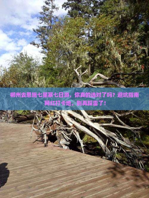 郴州去恩施七星寨七日游
