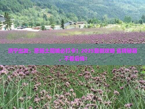 济宁到恩施土司城必去地