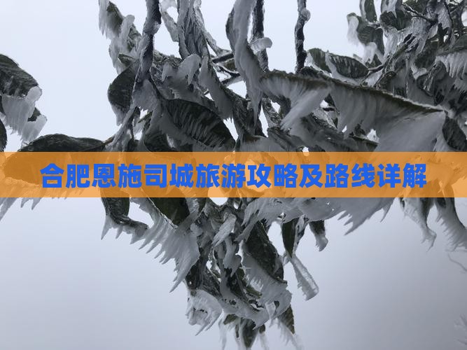 合肥去恩施土司城攻略