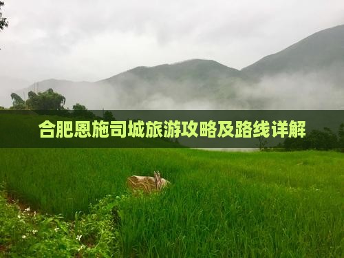 合肥去恩施土司城攻略