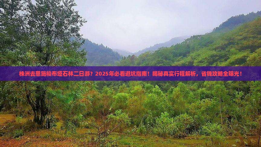 株洲去恩施梭布垭石林二日游
