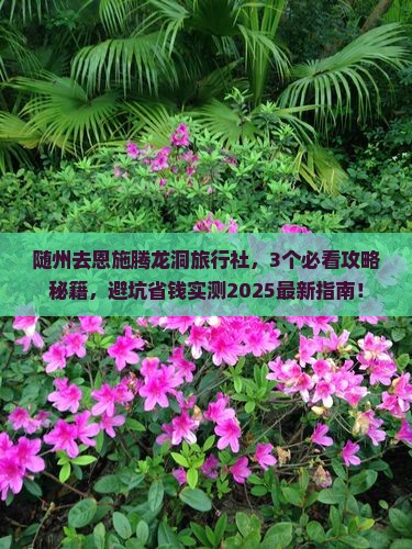随州去恩施腾龙洞旅行社