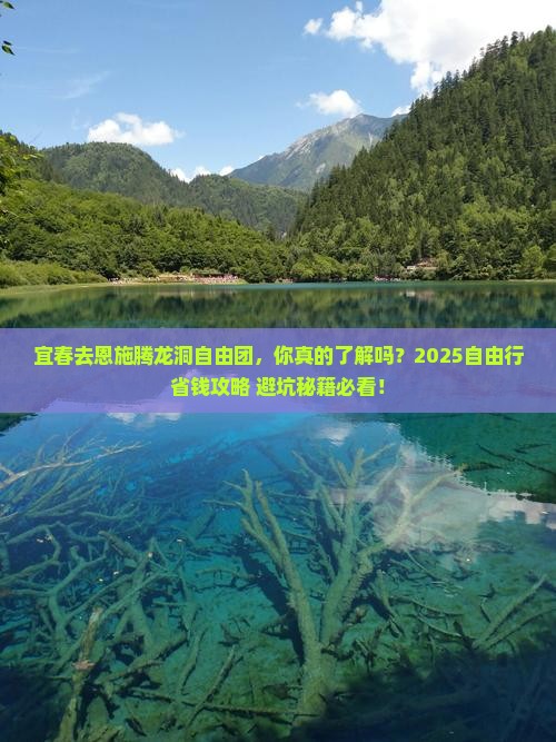 宜春去恩施腾龙洞自由团
