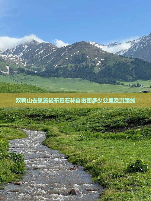 双鸭山去恩施梭布垭石林自由团