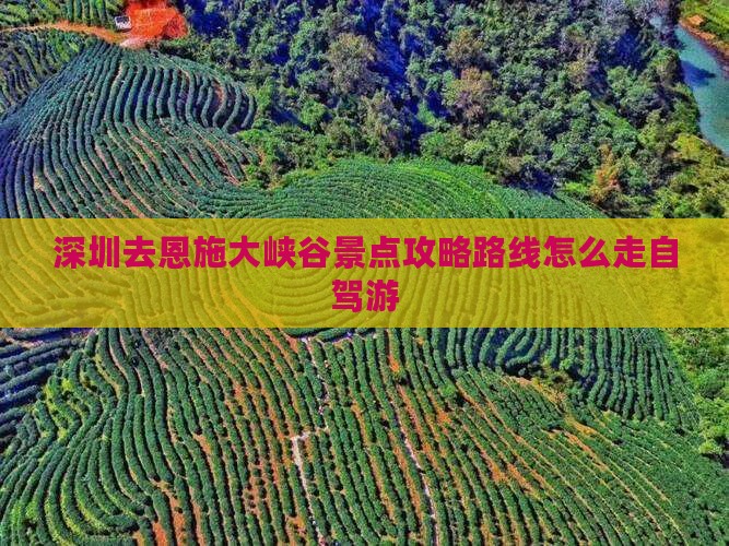 深圳去恩施大峡谷景点