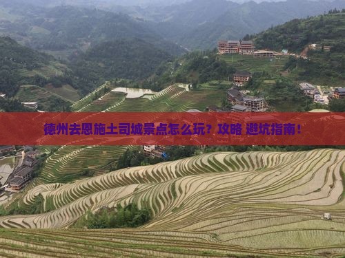 德州去恩施土司城景点