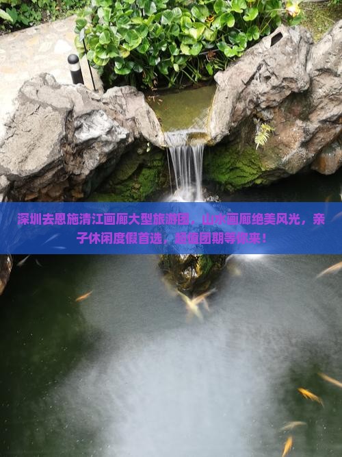 深圳去恩施清江画廊大型旅游团