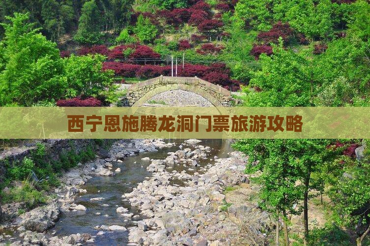西宁去恩施腾龙洞门票