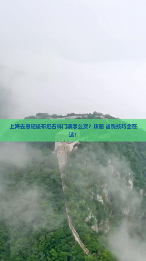 上海去恩施梭布垭石林门票