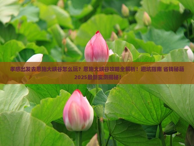 孝感到恩施大峡谷攻略