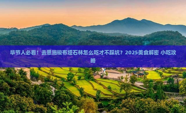 毕节去恩施梭布垭石林旅游小吃
