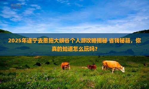 遂宁去恩施大峡谷个人游
