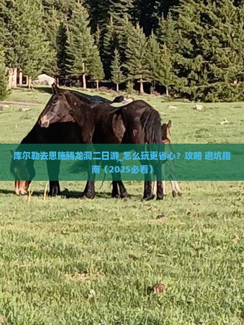库尔勒去恩施腾龙洞二日游