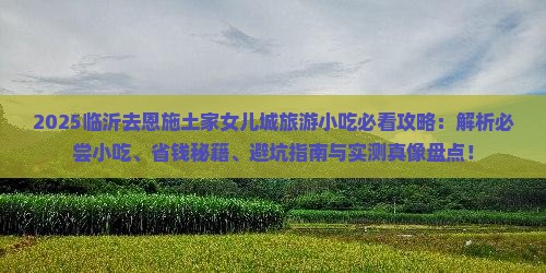 临沂去恩施土家女儿城旅游小吃