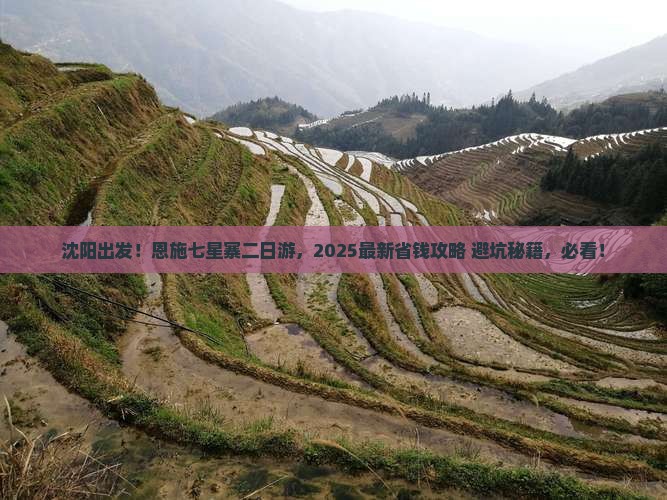 沈阳到恩施七星寨二日游 沈阳到恩施七星寨二日游