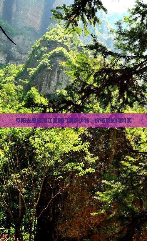 阜阳去恩施清江画廊门票