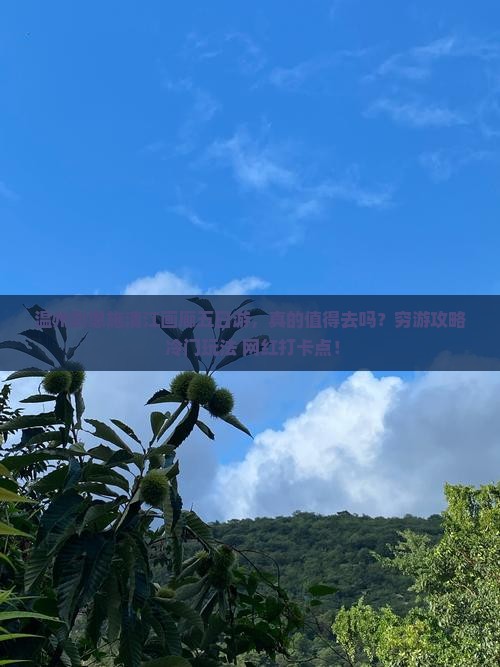 温州到恩施清江画廊五日游
