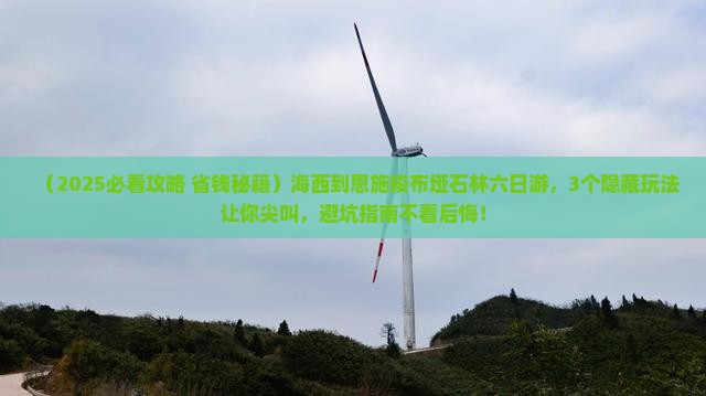 海西到恩施梭布垭石林六日游